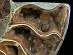 Beautiful Split Ammonite (Half) #6884-3